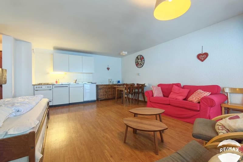 Apartment with 2.5 rooms, swimming pool and large carnotzet (4)