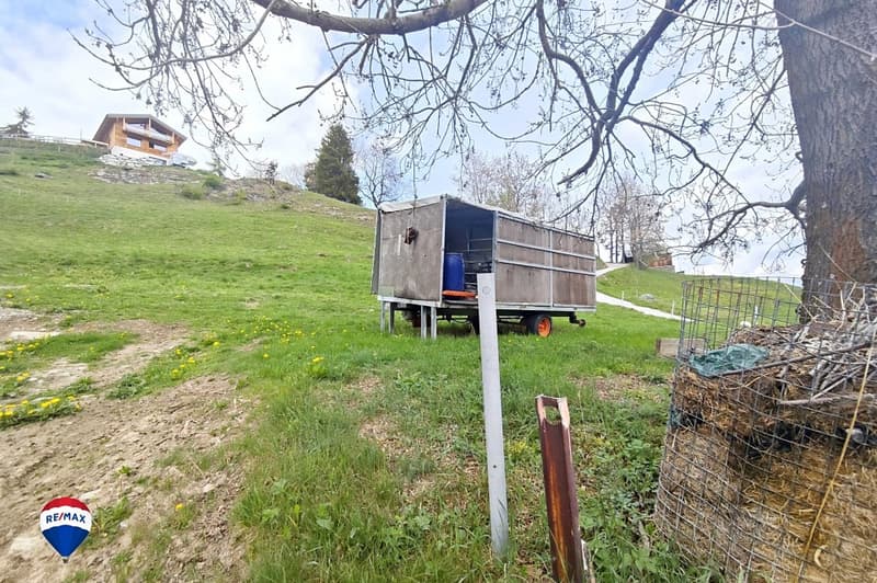 Terreno edificabile per 1 o 2 case in zona H20 (2)