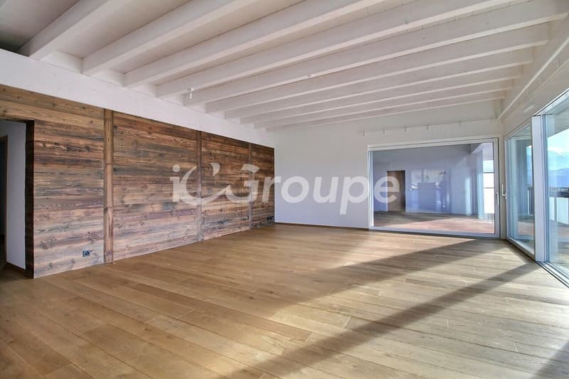 Splendido appartamento attico di 4.5 locali di 217 m2 (2)