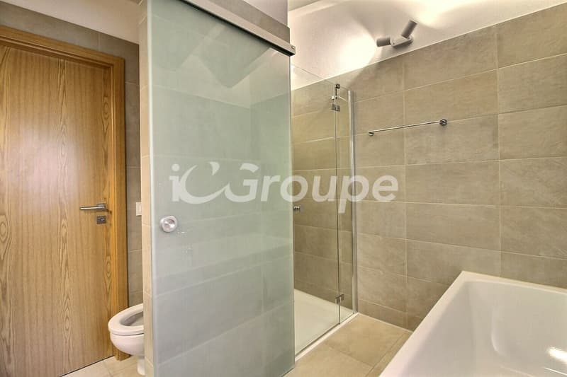 Splendido appartamento attico di 4.5 locali di 217 m2 (7)