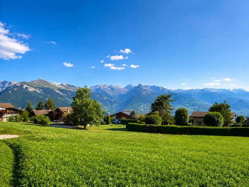 Magnifique terrain à bâtir avec vue (1)