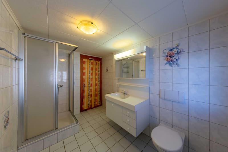 Village house with potential including a café-restaurant, a duplex apartment, hall and barns (11)