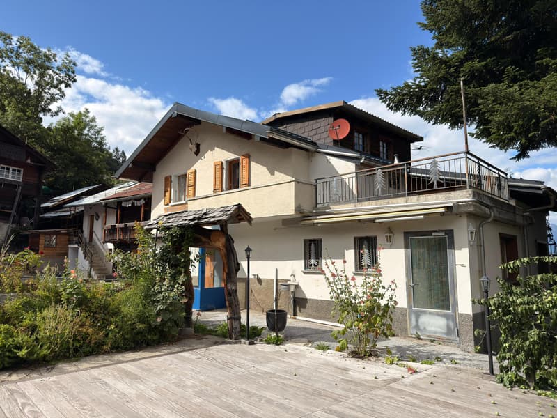 Village house with potential including a café-restaurant, a duplex apartment, hall and barns (2)