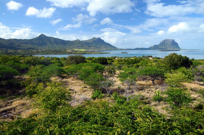 The villa of your dreams by the sea, a paradise for golfers (9)