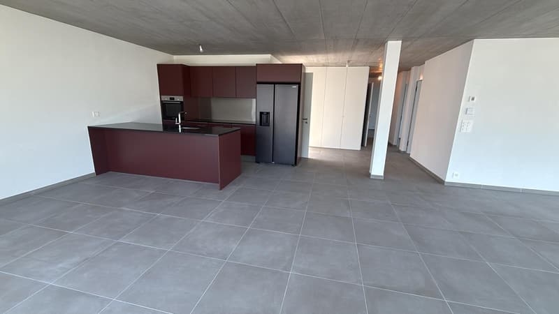 Meraviglioso attico di 4,5 locali con ampio balcone (2)