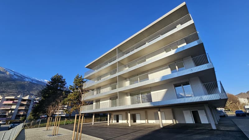 Meraviglioso attico di 4,5 locali con ampio balcone (7)