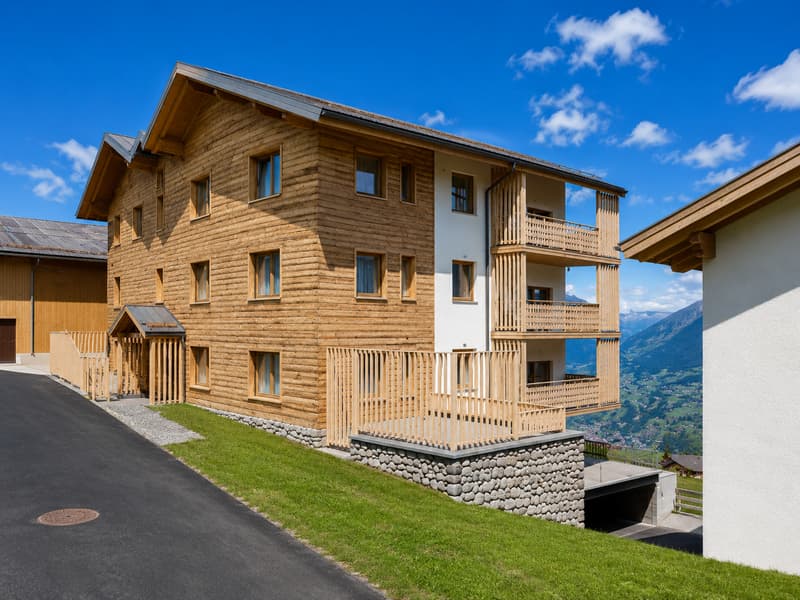Beautiful apartment with valley view (5)