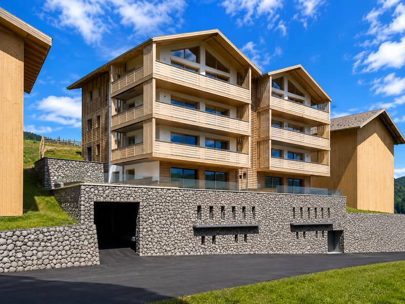 Beautiful apartment with valley view (4)