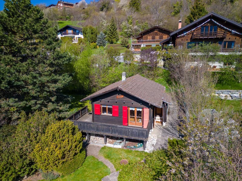 Luxurious property in a haven of greenery and peace (2)