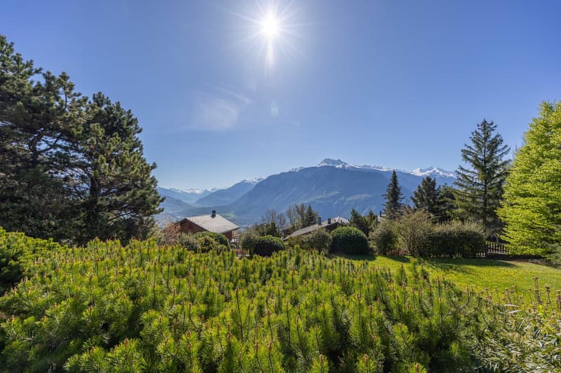 Luxurious property in a haven of greenery and peace (4)