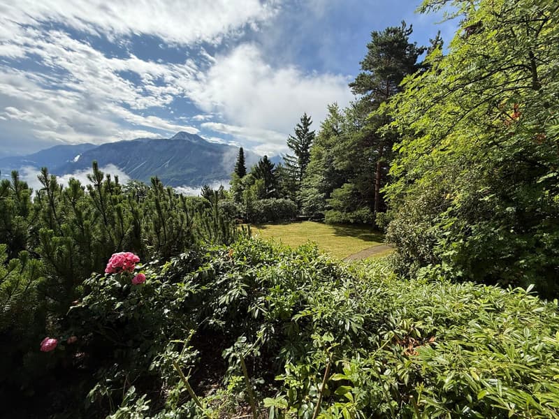 Luxurious property in a haven of greenery and peace (3)