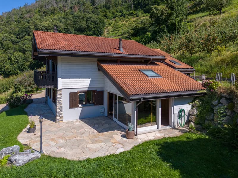 Villa con spazio benessere circondata da albicocchi (2)