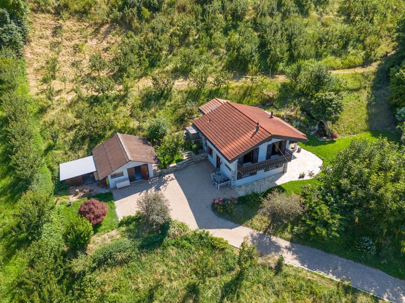 Villa con spazio benessere circondata da albicocchi (13)