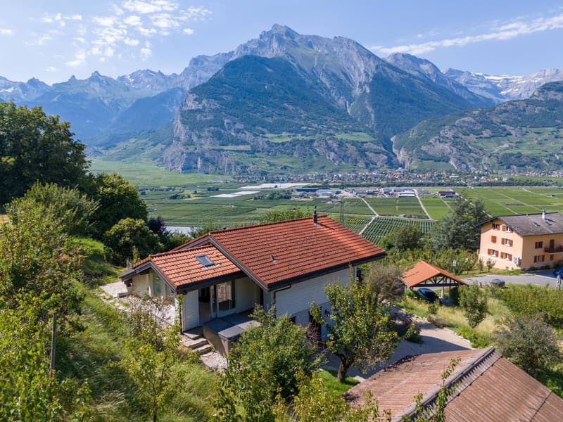 Villa con spazio benessere circondata da albicocchi (4)