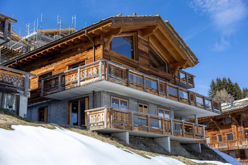 Magnificent ground-floor apartment in a luxury ski-in/out chalet ? Dixence Resort (1)