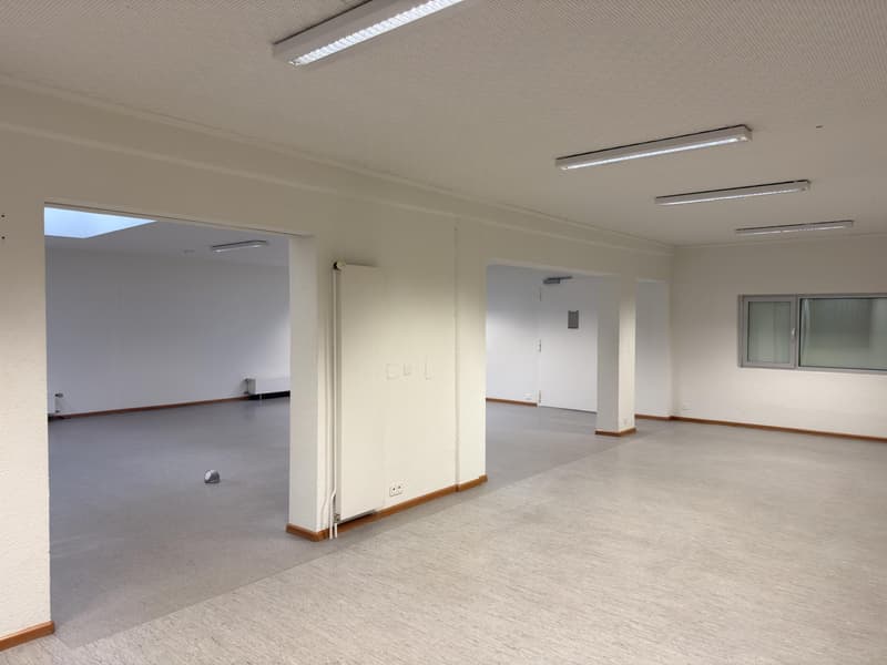 Locale commerciale atipico di 100 m² nel cuore di Ovronnaz (5)