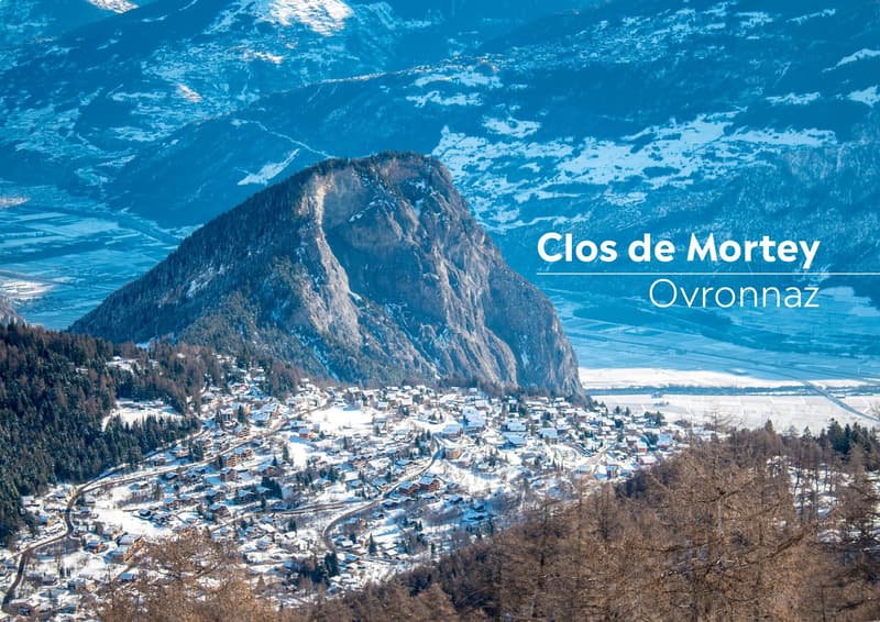 2,5 locali nuovo con terrazza a sud e vista montagna (10)