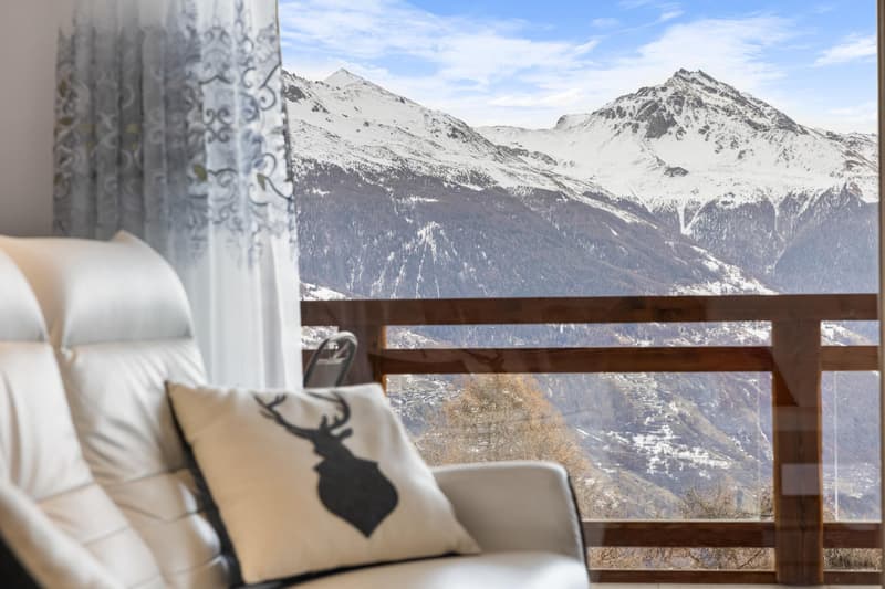 Magnifique appartement ski in/out (5)