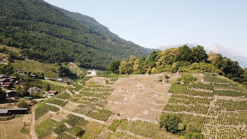Ambiente storico e naturale per eventi esclusivi (2)