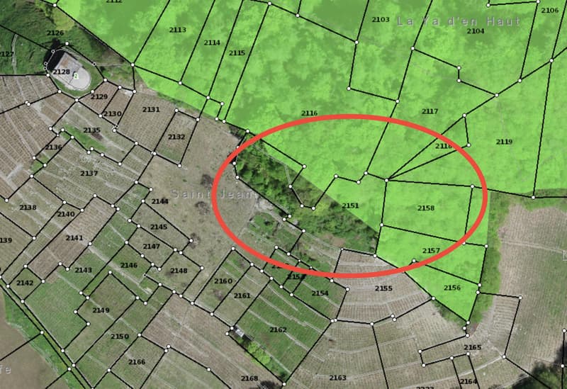 Ambiente storico e naturale per eventi esclusivi (6)