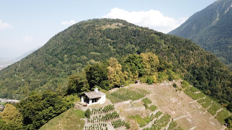 Ambiente storico e naturale per eventi esclusivi (5)