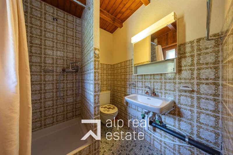 Charming 2.5-room cross-through and mansard apartment in the center of the station (3)