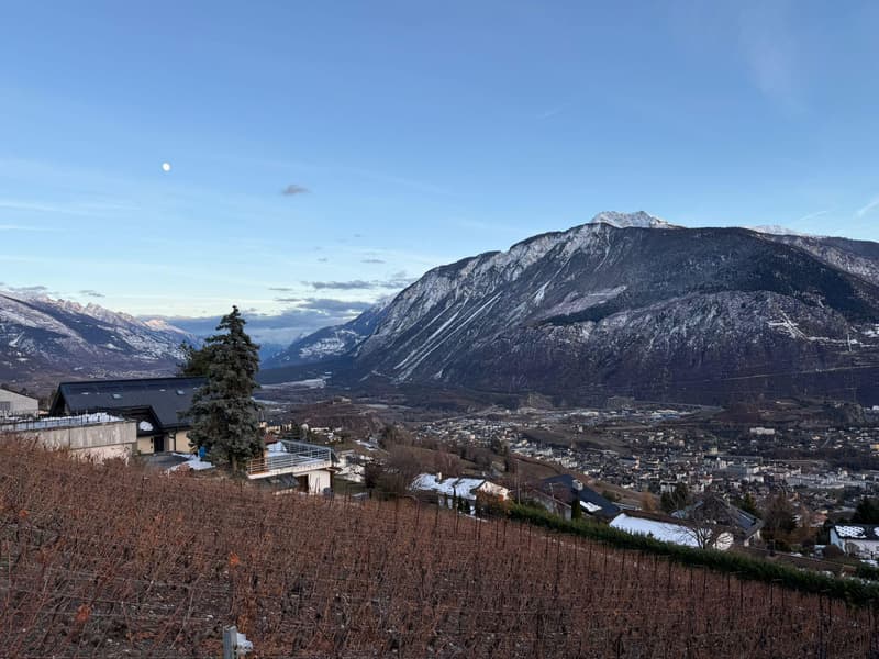 Semi-Detached House & Independent Apartment - Exceptional View (12)