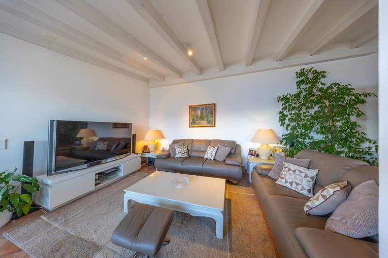Exceptional attic with breathtaking views of the Alps (3)