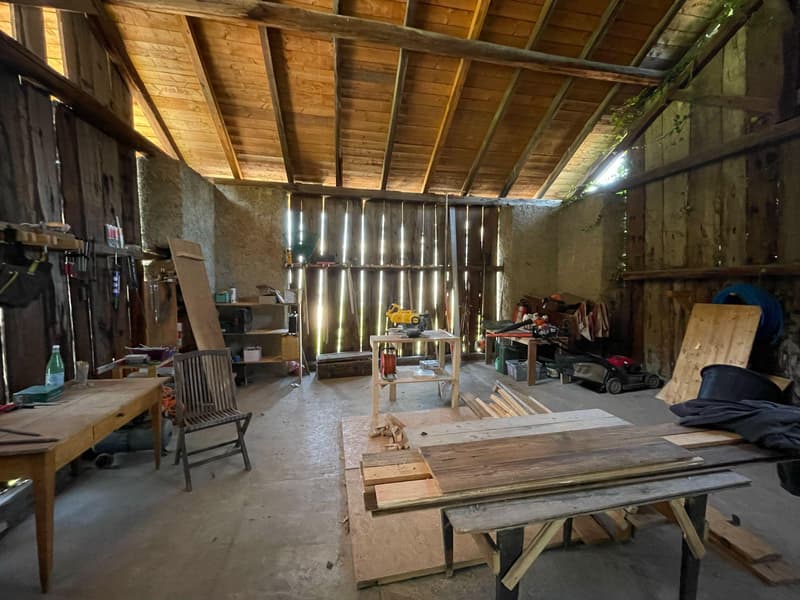 Magnificent barn with a view (8)