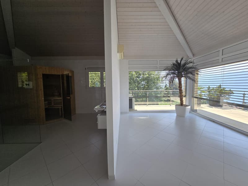 Beautiful apartment with terrace and lake view (8)