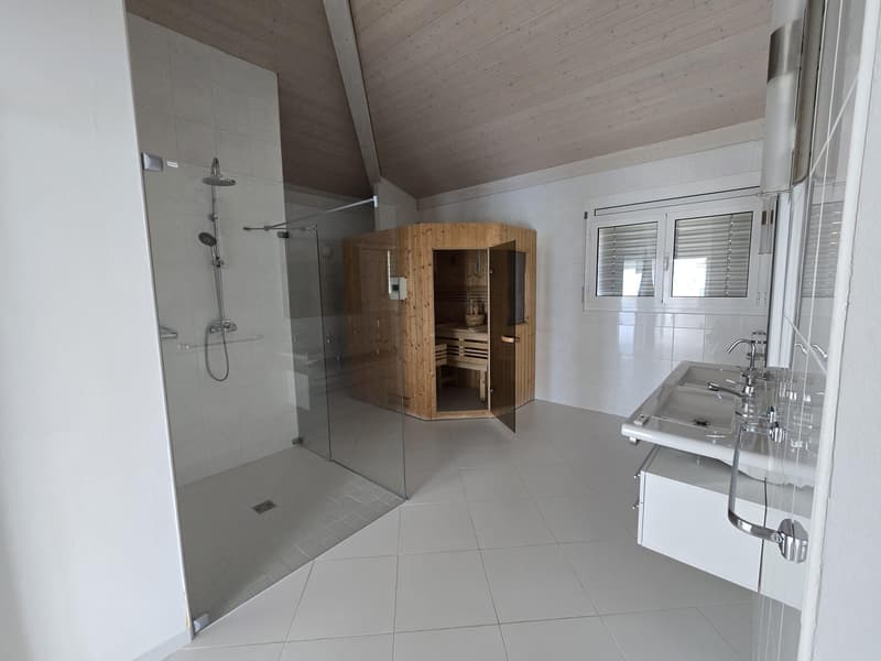 Beautiful apartment with terrace and lake view (4)