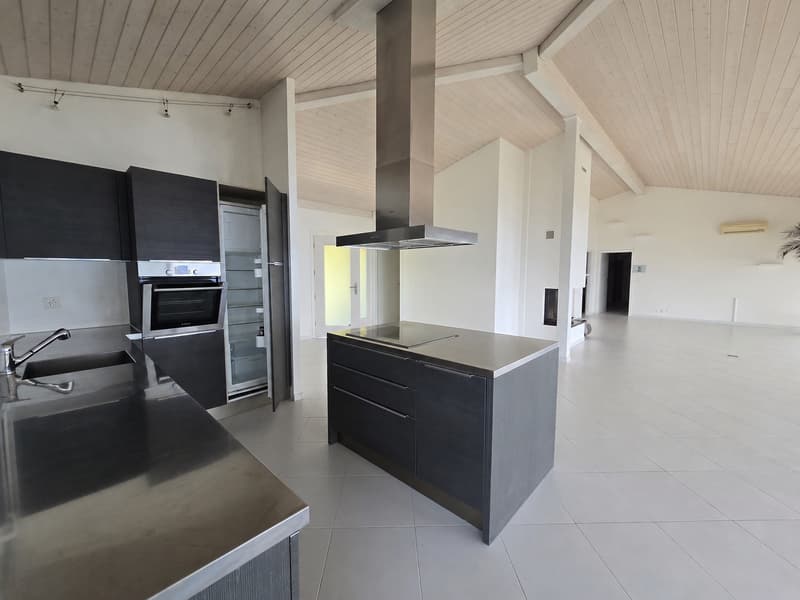 Beautiful apartment with terrace and lake view (3)