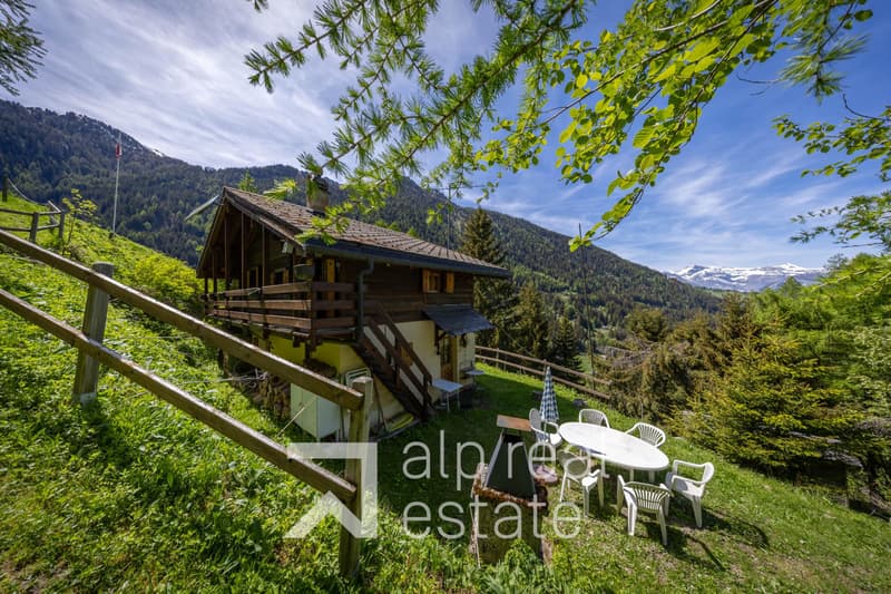 Charming summer hut, 15 minutes from the station (1)