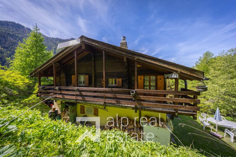 Charming summer hut, 15 minutes from the station (3)