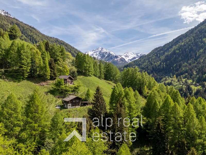 Charming summer hut, 15 minutes from the station (13)