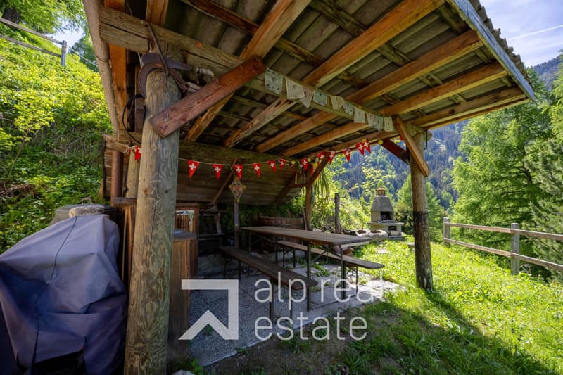 Charming summer hut, 15 minutes from the station (12)