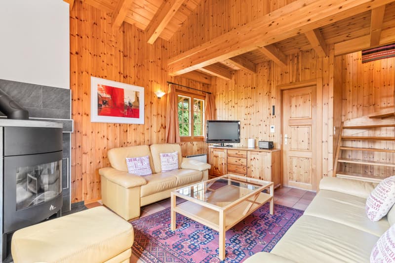 Beautiful log cabin in a quiet location - exceptional situation (6)