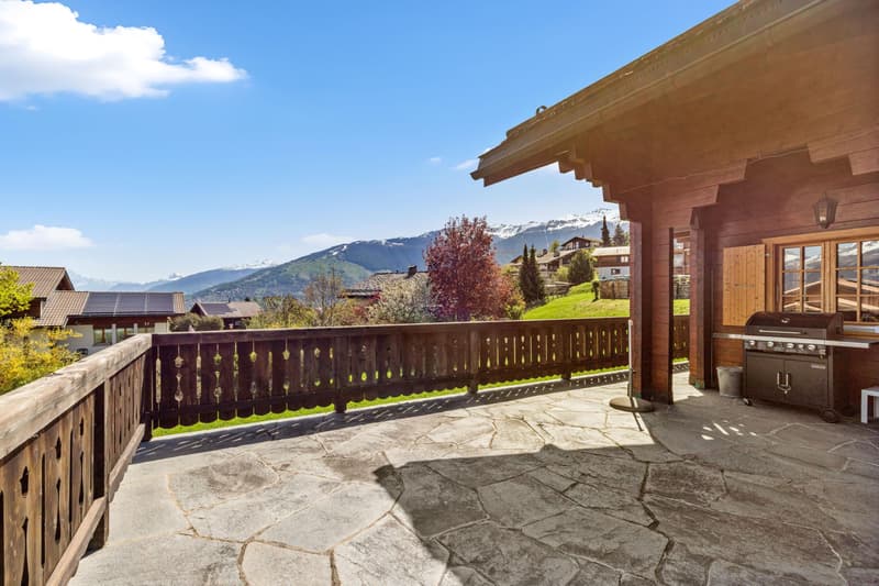 Beautiful log cabin in a quiet location - exceptional situation (3)