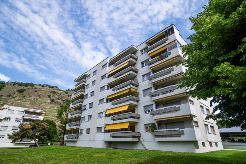 Bell'appartamento di 3.5 locali con balcone (9)