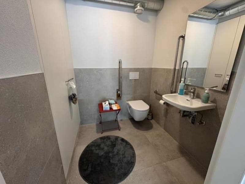 Commercial premises ? An investment opportunity with a 5 % return (6)