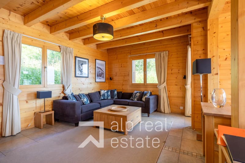 Magnificent chalet with wellness area (4)