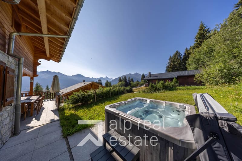 Magnificent chalet with wellness area (7)