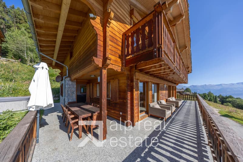 Magnificent chalet with wellness area (9)