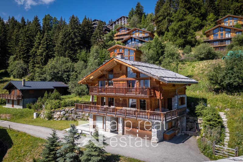 Magnificent chalet with wellness area (1)