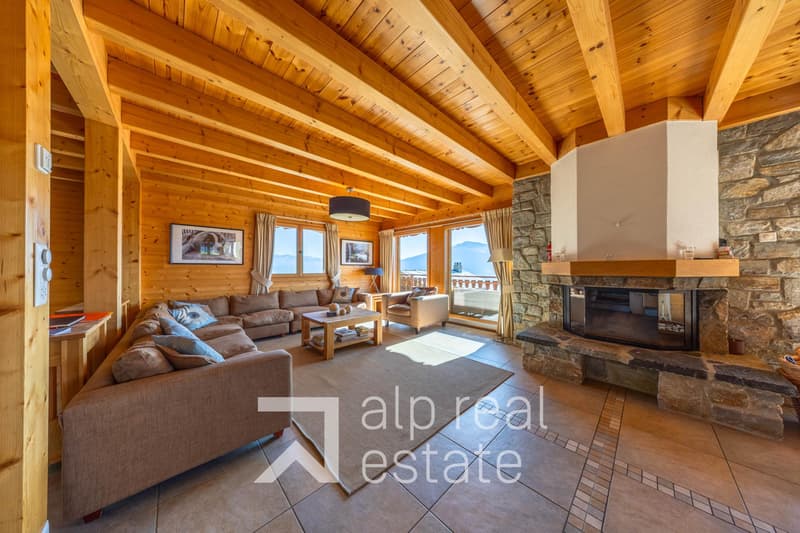 Magnificent chalet with wellness area (3)