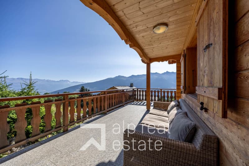Magnificent chalet with wellness area (8)