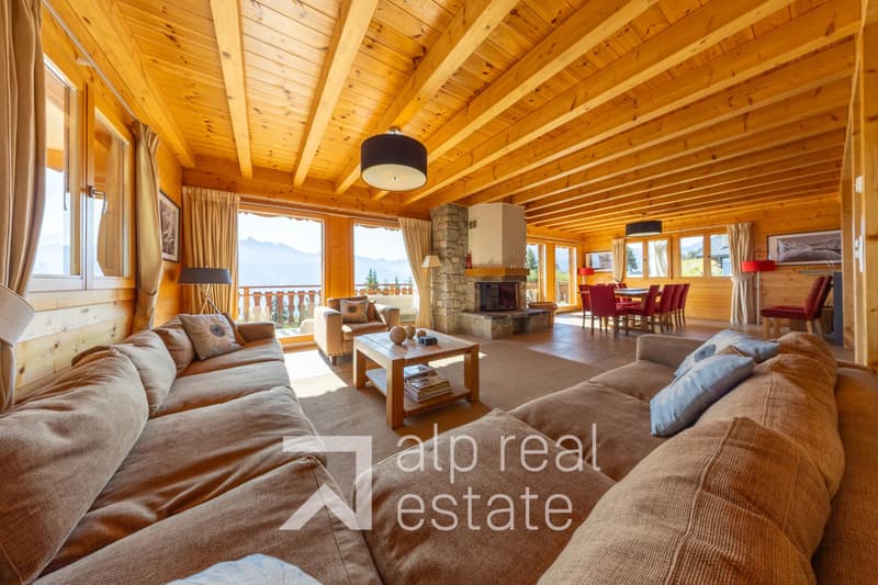 Magnificent chalet with wellness area (2)
