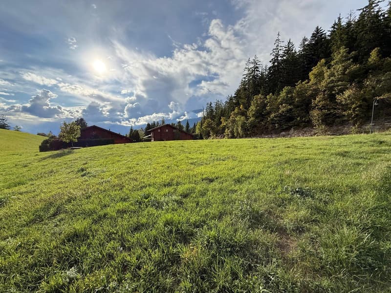 Promotion Reflet des Alpes - Chalet Souffle des Cimes (8)