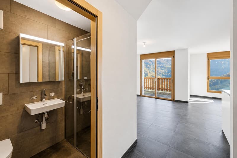 Magnifique appartement avec terrasse et vue panoramique (10)