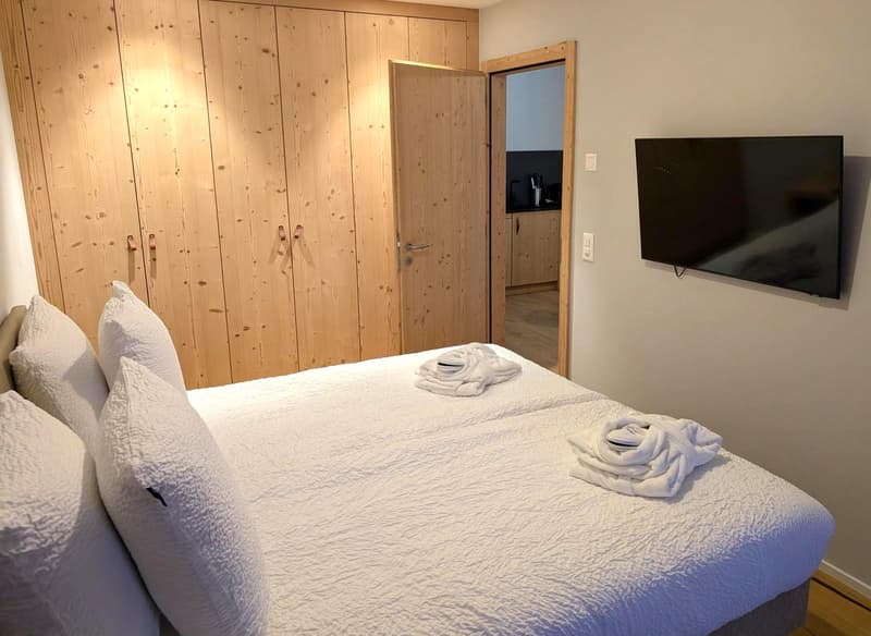 Superbe appartement ski in/out dans résidence hôtelière (2)